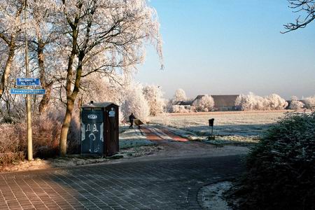 Berijpt Noordhorn Noord