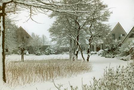 Borgwegvijver besneeuwd