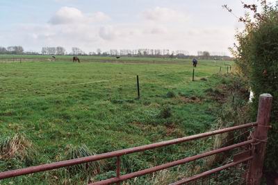 open landschap