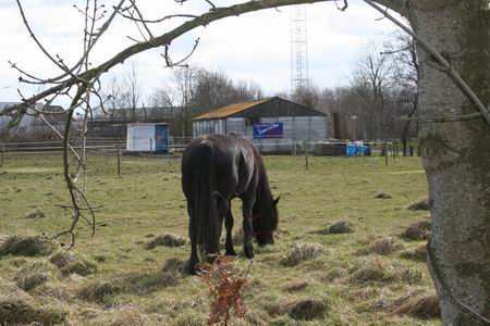 geplande plek rotonde