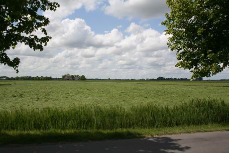 grasland NW Noordhorn