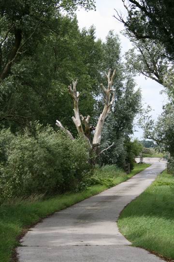 Natuurlijke kunst langs boerderijree De Jong