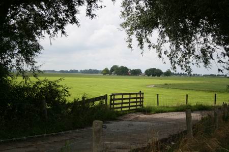 Uitzicht op fraai Oxwerd-landschap