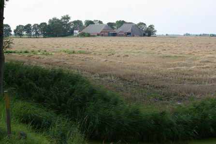 oogstactiviteiten op het land bij boer Vermuë