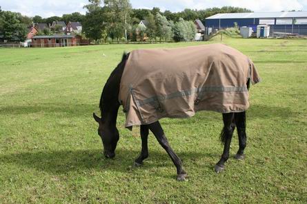 Armani of De Vrijbuiter?