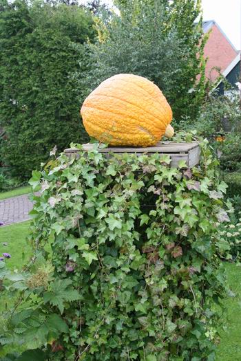 reclamezuil zonder woorden