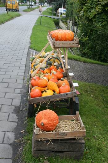 het fietspad fleurt er van op!