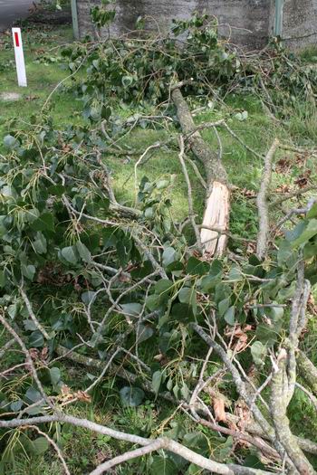 natuurgeweld en de gevolgen bij de spoorbrug