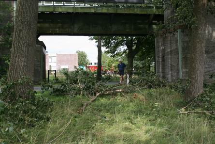 Wandelaar Jonge Haan vergewist zich van stormschade
