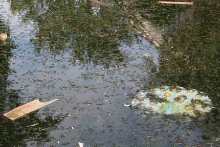 resize-of-20080918_4404 Rotzooi in de Borgwegvijver. Ooit was hier een dobbe of iets dergelijks, op het landgoed behorend bij de borg Noordwijck. Nu is de vijver onderdeel van een aantrekkelijke woonwijk. Maar dat de vijver daar in de huidige staat echt een bijdrage aan levert?