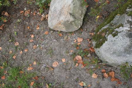 resize-of-20080918_4422 Een ruit aan diggelen? Vele stukjes vensterglas houden de twee keien gezelschap, vlak tegenover de ingang van het schoolplein aan het Hamsterpad. Riskante vervuiling.