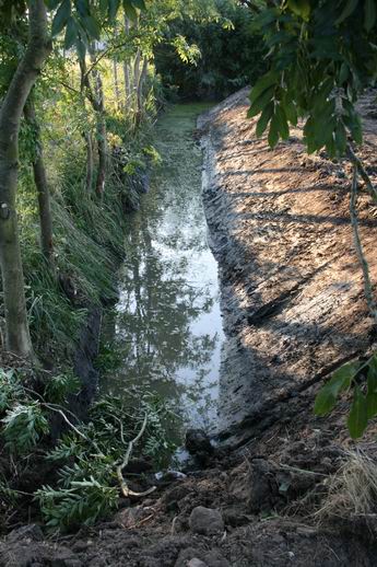 De opgeschoonde sloot aan de Langestraatkant, waar een stroomkabel het begaf. Risico van het vak? Bevordering Essent-werkgelegenheid....  