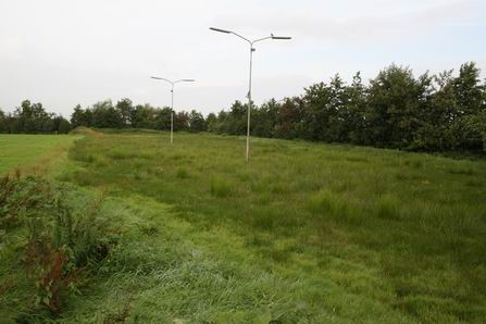 resize-of-ijsbaan-dorpsbelangen-03092008 De Dorpsbelangen-ijsbaan, die baart (mij) nog de meeste zorgen. Zelfs de meeuw op de ene verlichtingspaal vraagt zich af, of hier nog ooit weer wordt geschaatst. Hoe sfeervol kan het hier nog zijn? Hoe gemotiveerd kunnen vrijwilligers nog werken aan het klaarmaken van een goede ijsbaan?