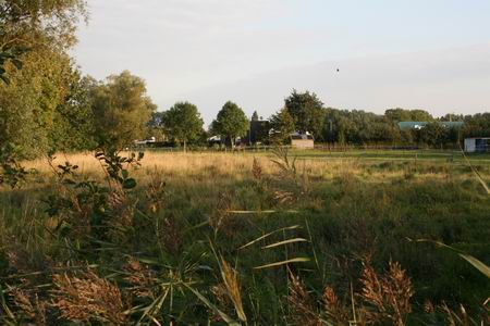Aan de westkant van de N355 ligt het Van-der-Veenperceel met schuur. Er ontstaat een mooie natuurplek, de contouren van een toekomstige rotonde zijn hier (voorlopig?) onzichtbaar.  