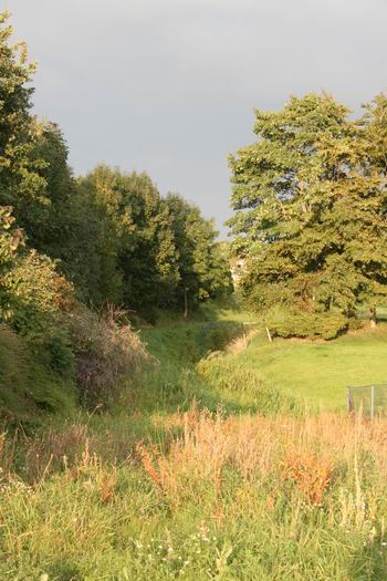 Nazomerzon vanaf de Industrieweg op het ietwat verwilderd gebied van de Noordhorner Tocht. Met een simpel schelpenpad een nieuwe wandelmogelijkheid. En dat zou op meerdere plaatsen in of bij Noordhorn kunnen.