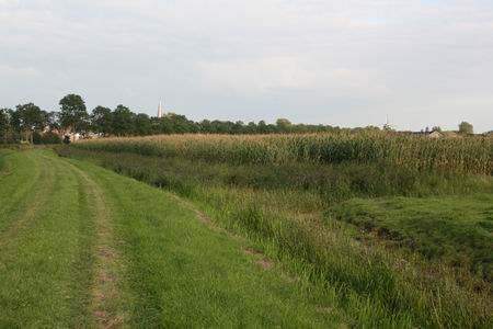 De oude heirbaan aan de westkant van de N355. Zou daar voor wandelaars met niet al te veel kosten wat meer van te maken zijn?  
