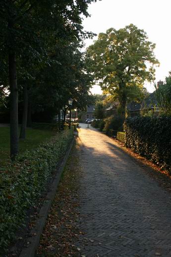 De Torenstraat aan de noordkant van de hervormde kerk koestert zich in het namiddagzonnetje. De zomer gaat merkbaar over in de herfst, de overgang gaat in het goud gekleed.