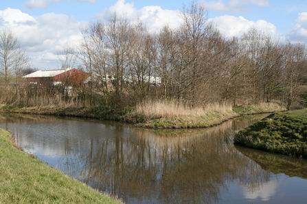 resize-of-zwaaikom-schipsloot-310320081 Diezelfde Schipsloot is ook een duidelijk historisch spoor en zeker de herkenbare zwaaikom. Aan de overkant autowrakken, over historische sporen gesproken...