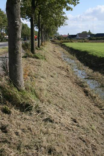 resize-of-20081009_4973 Het gaat bijvoorbeeld om deze slootkant. Voorlopig een kale boel, maar ook een slordige aanblik, want van nazorg is niet echt sprake...