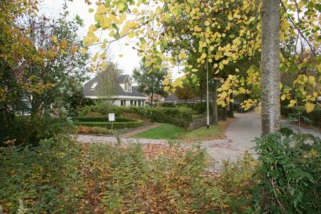 Herfstbeeld aan het Hamsterpad, vanaf de zuidelijke ingang van het hertenkamp.