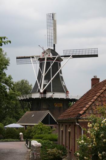 resize-of-de-fortuin-met-klaas-hekker-21062008 Molen De Fortuin vanuit de Oosterweg bekeken, met een klussende molenaar Klaas Hekker nog net in beeld. Draait ie of draait ie niet tijdens de volgende feestweek? (©janblaauw, juni 2008)
