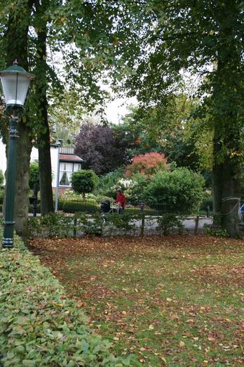Het najaar, dat zich bewust is van zijn grillig karakter, toont ook het mooie, elke dag veranderende kleurenpalet. Een plaatje!  Vanaf de Torenstraat richting de pastorie aan de Oosterweg, fraai Noordhorn!  