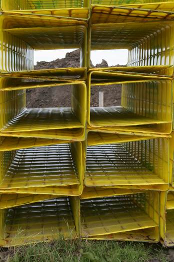 resize-of-nieuwbouw-henk-bakker-7-03102008 Bijzonder beeld aan de rand van Bakkers bouwkavel Meidoornstraat 18. Of ben ik de enige die het ziet.....??