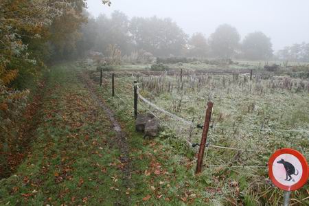 Aan de noordrand van Noordhorn het vizier gericht op de nieuwe Dorpsstee. Beeld van de volkstuintjes met schijtverbod voor honden....