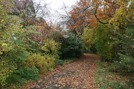 De zuidelijke oprit naar de hervormde pastorie, een kleurenfestijn! En gelukkig geen bladblazer te zien...
