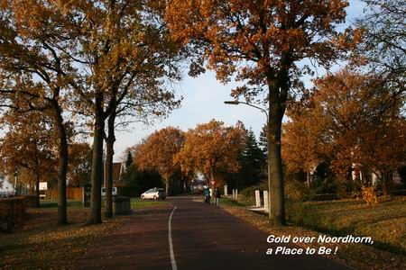 Stuur eens een kaartje....  