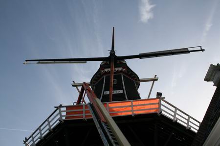 resize-of-20081117_64251 De Fortuin lijkt onttakeld, uit zijn gewone doen. (Griepje?) Komt wel weer goed, dokter is er al bij..