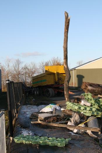 Wellicht dat dit beeld het meest treffend is voor de huidige bedrijfssituatie van Balkema-MNeijer. Een boom die er wel erg kaal uitziet, een wagen waarvoor zelfs dieven geen belangstelling hebben, en een hoop rommel, ooit wel functioneel in het bedrijf.... 