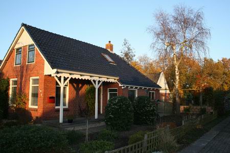 Daar staat ie dan, de ten dode opgeschreven berk naast Oosterweg 5, waarvoor een kapvergunning is aangevraagd bij de gemeente Zuidhorn.  