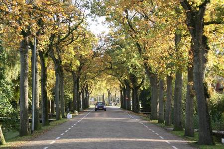 De Poort van Noordhorn, Langestraat Zuid, een beauty in deze tijd van het jaar!  