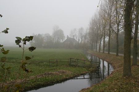 geen McCainmenagerie of Obamasitis, geen geldcrisis, geen bruut optreden in de Congo, geen Bosse en Borghoutse Twisten, geen stadse fratsen....
