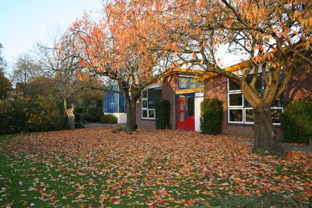 De OBS De Molshoop in herfsttooi. Beide prunussen hebben vele van hun prachtig verkleurde bladeren laten vallen. Een magnifiek bladertapijt, waaruit Desso nog heel wat inspiratie kan putten. 