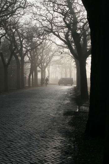 Langestraat Zuid, mistig decor, mysterieuze sfeer