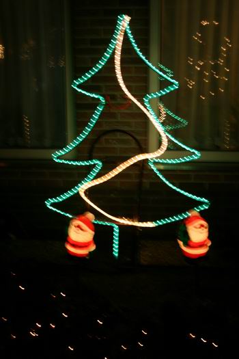 resize-of-20081222_8014 Eenvoudig, herkenbaar, in een kleine Oosterwegtuin...