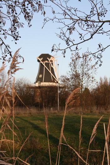 resize-of-fortuin-ontwiekt-4-19122008 Ook vanaf de Mokkenburgweg is De Fortuin als een worstelaar zonder armen, een paard zonder benen, een geweer zonder loop... Er ontbreekt iets.