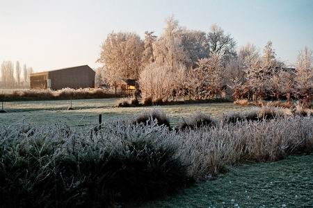 resize-of-zicht-op-holman-vanaf-gras-molshoop Zicht op het vroegere terrein van de autosloperij van de fam.Arends, vanaf het speelterrein van OBS De Molshoop. Het eerste weiland hoort bij Oosterweg 9 (Zuidema); het tweede herbergde vroeger personenwagens, rijp voor de sloop.