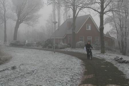 resize-of-20081231_8130 Dorpskant Mokkenburgweg, met woning waar de familie Hekkema druk bezig is met nestelen...