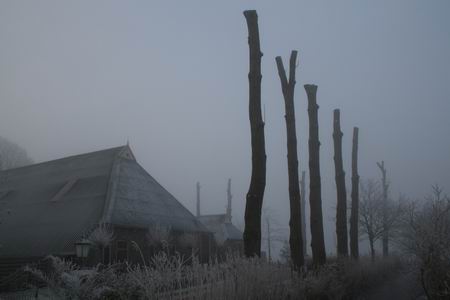 resize-of-20081231_8143 Voormalige boerderij Mokkenburg, waar ook aan de oostkant de bomen staken...