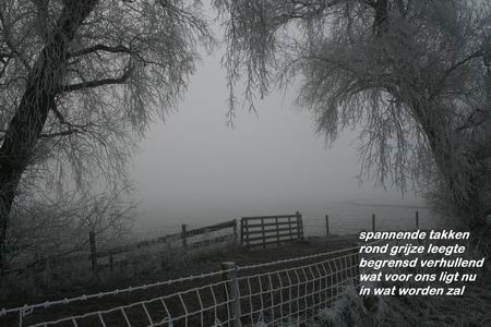 resize-of-20081231_8156 nieuwe ronde, nieuwe kansen...