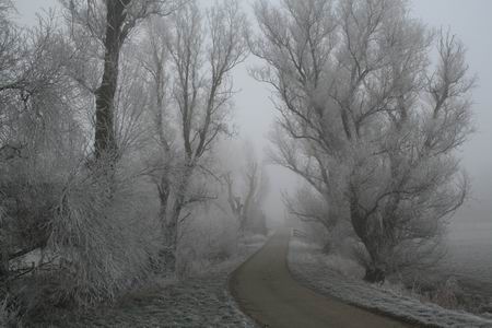 resize-of-20081231_81573 De ree naar de boerderij van De Jong, een plaatje!