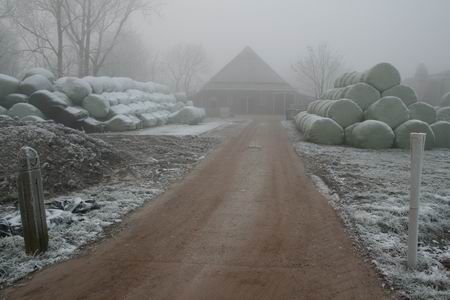 resize-of-20081231_8163 Berijpt achtererf van boerderij Datema, grijsgroen verpakt gras