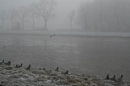 resize-of-20081231_8170 Mist en kou langs het Van Starkenborghkanaal, vanaf noordzijde