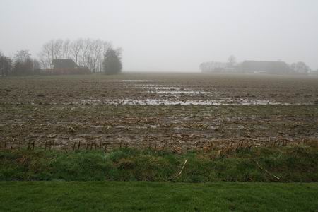 Dinsdag, dekselse dooidag... Wat een treurnis, de grilligheid van ons klimaat!  