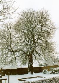 besneeuwd, februari 2005  