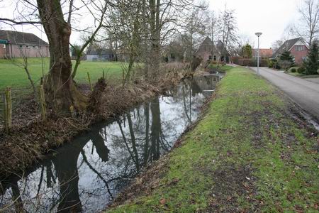 Pastoriegracht, met weerspiegelingen van soms oude bomen. Wat vertellen ze?  