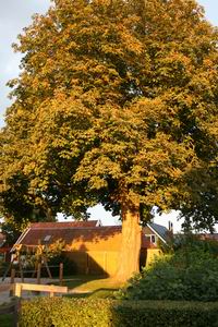 namiddagzon, september